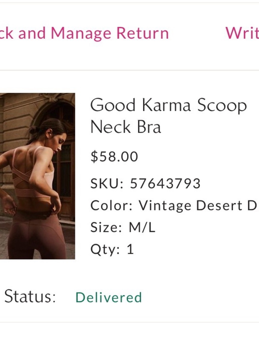 Free People Good Karma Scoop Neck Bra in Dusty Mauve